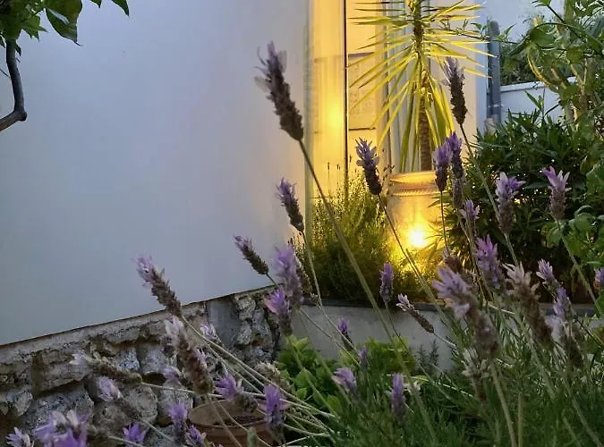 Mirano ヴィラ エズ